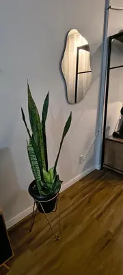 A planta de Flat Aconchego Beira Mar