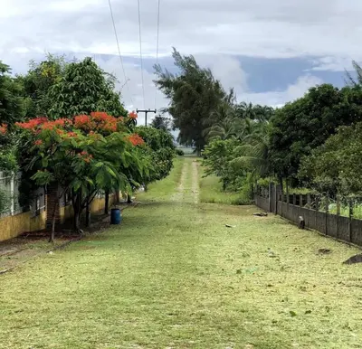 Um jardim no exterior de Casa Garrote