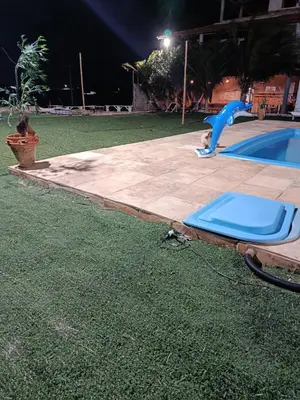 A planta de Casa