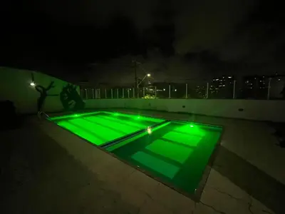 A planta de Manu Vila