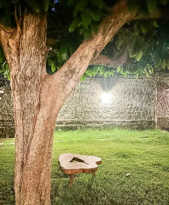 Um jardim no exterior de Casa da Vó Rita - com Café da Manhã - Praia do Cumbuco