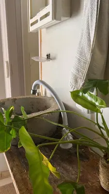 A planta de Chalé blue