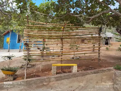 A planta de Chalé nas nuvens