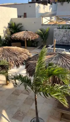 A planta de Casa