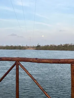 Paisagem natural perto da casa de férias