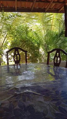 Um jardim no exterior de Casa do Sol Nascente em Aguas Belas CE