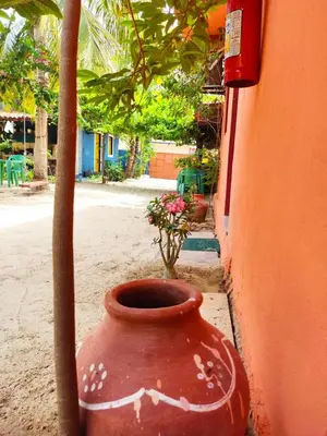 Um jardim no exterior de casa n 8 jeri