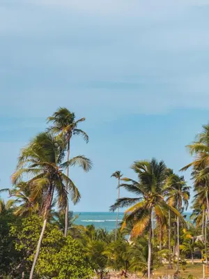 Paisagem natural perto da casa de hóspedes