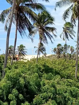 Paisagem natural perto do hotel