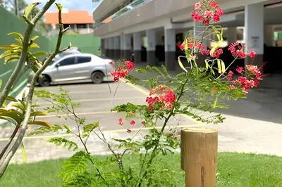 Um jardim no exterior de BP307B - Paraíso à Beira-Mar em Cumbuco, a 80 metros da praia