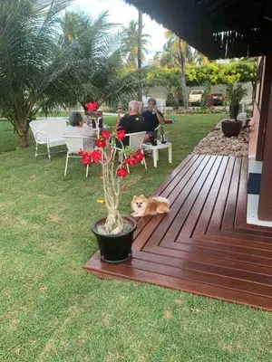 Um jardim no exterior de CASAS DO TON FLEIXERAs