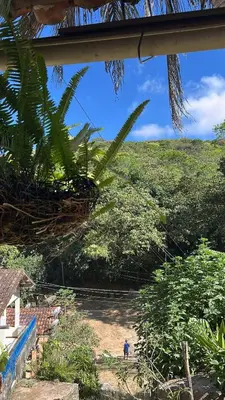 Um jardim no exterior de Chalé Luz de São Miguel