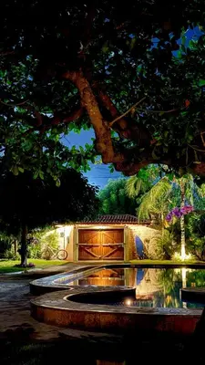 Um jardim no exterior de Villa Wiktor Paracuru