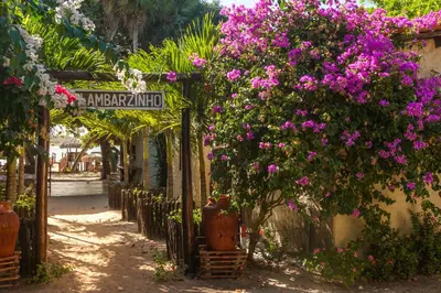 Um jardim no exterior de Pousada Flambaião