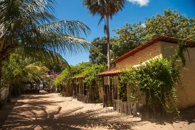 Um jardim no exterior de Pousada Flambaião
