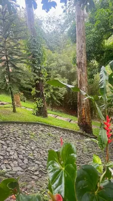 A planta de Chalet - Nature and Refuge in Guaramiranga