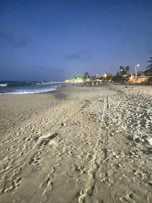 Uma praia em ou perto do apartamento
