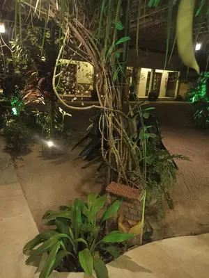Um jardim no exterior de Rekanto Sabiá