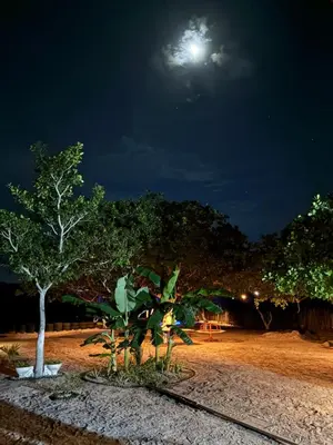 Um jardim no exterior de Recanto Paraguay - House with pool