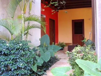 Um jardim no exterior de Nossa Casa em Jeri