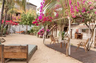 Um jardim no exterior de casa jasmin