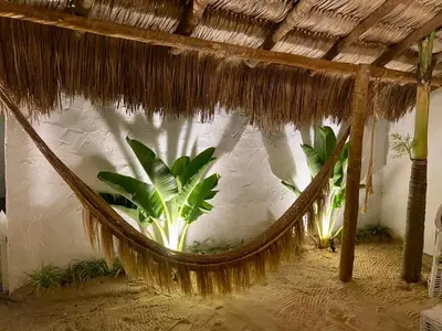 A planta de casa jasmin