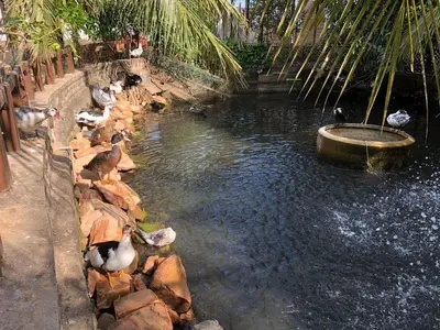 Vista de um rio perto do chalé