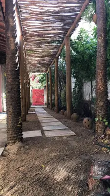 A planta de Barriga Da Lua Flats