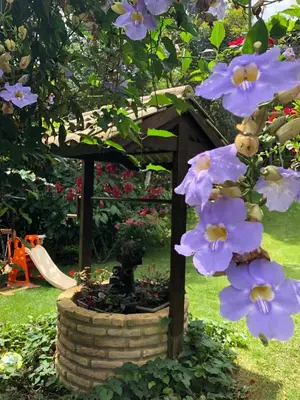 Um jardim no exterior de Chalet Schönenberg