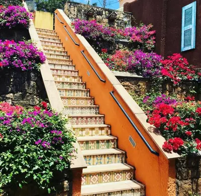 Um jardim no exterior de Pousada Manjericão