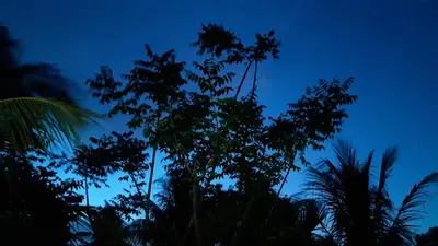 A planta de Recanto Vendramel Bezerra