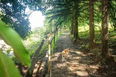 Paisagem natural perto da casa de hóspedes