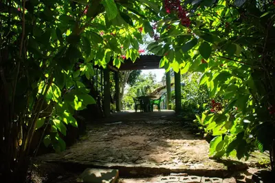 Um jardim no exterior de Saíra Recanto de Serra