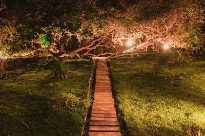 Um jardim no exterior de Villa Sabiá - Eco Bungalows