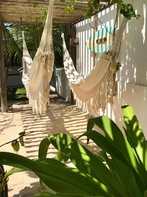 Um jardim no exterior de Villa Caribou