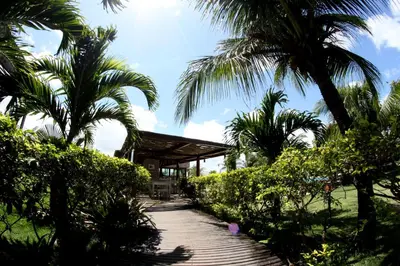 Um jardim no exterior de Eco Resort Vento Leste