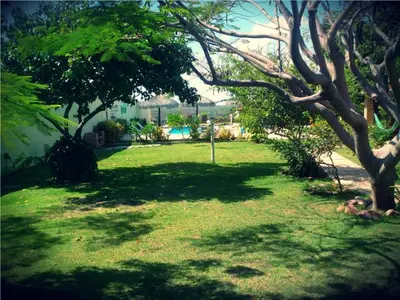 Um jardim no exterior de Pousada Iguana