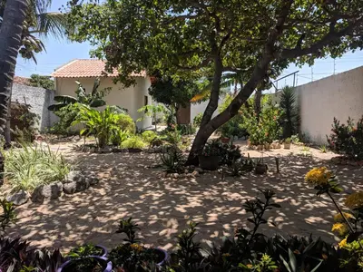 Um jardim no exterior de B&B Chalé Jardins