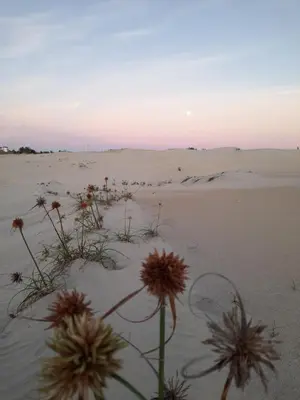 Paisagem natural perto das estalagens
