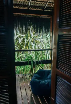 Um jardim no exterior de Kitecabana Pousada