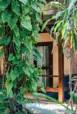 Um jardim no exterior de Kitecabana Pousada