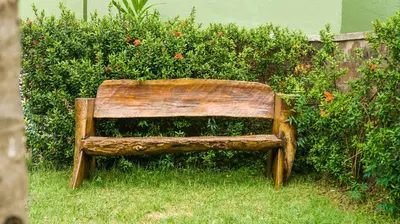 Um jardim no exterior de Kanaloa Pousada