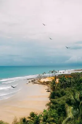 Paisagem natural perto da casa de férias