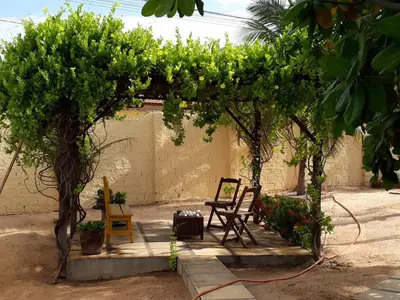 Um jardim no exterior de Chalés do Otto e Karine