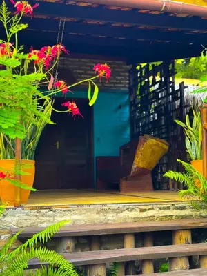 Um jardim no exterior de Canoé Brasil
