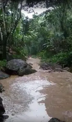Paisagem natural perto da casa de férias