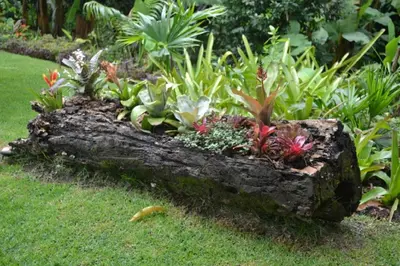 Um jardim no exterior de Sitio Alto da Montanha - você em paz com a natureza