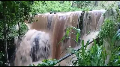Paisagem natural perto da casa de férias