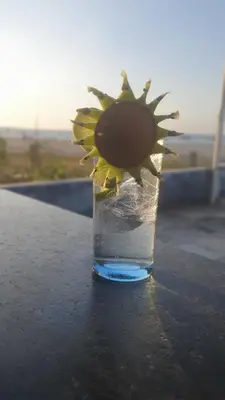 A planta de Pousada e Restaurante Sombra dos Coqueiros