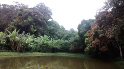 Paisagem natural perto of the country house